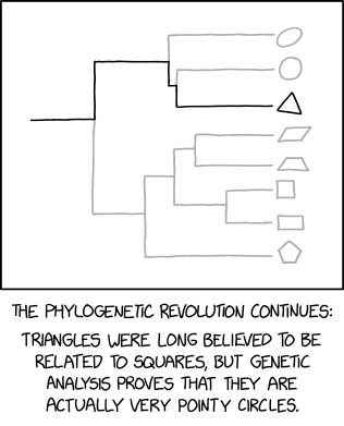 There's a maximum likelihood that I'm doing phylogenetics wrong.